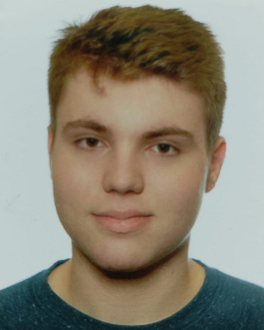 Ein Profilbild von Luis Radtke.